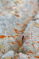 /album/fulle-den-rahmen/f005507-nef-dxo-deepprimexd-ps-jpg/