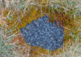 /album/fulle-den-rahmen/f005989-jpg/