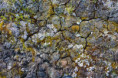/album/fulle-den-rahmen/f006870-jpg/