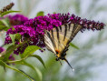 /album/fulle-den-rahmen/p7121877-jpg/