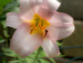 /album/fulle-den-rahmen/p7121878-jpg/
