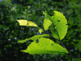 /album/fulle-den-rahmen/paul-fill-the-frame-2-jpg/