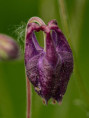 /album/fulle-den-rahmen/paul-fill-the-frame-3-jpg/