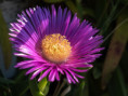 /album/fulle-den-rahmen/uli-dscf6574-jpg/